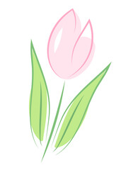 Różowy tulipan ilustracja