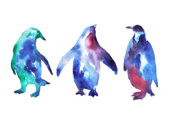 Bright watercolor set of penguins. Colored spots on a white background. - 563151941