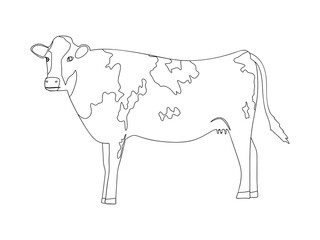 Cow black and white in linear style. Coloring book for kids. Hand drawn cow isolated on white background. vector