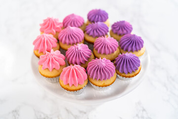 Mini Vanilla Cupcakes with Pink Buttercream Frosting