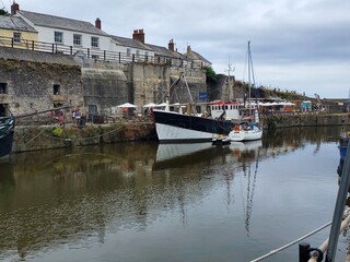 boats in the harbor