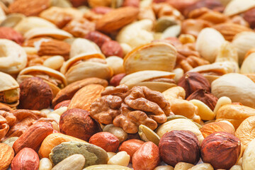 Different types of nuts and seeds, photo with selective focus. Peeled walnut, hazelnuts, peeled peanut, pine nut kernels, almond seeds, cashew seeds, pistachio nuts in the shell, pumpkin seeds