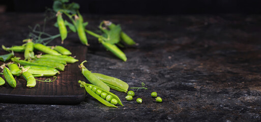 Rural still life, banner horizontal - view of the pea crop, selective focus, close-up on a dark background with space for text. The harvest concept