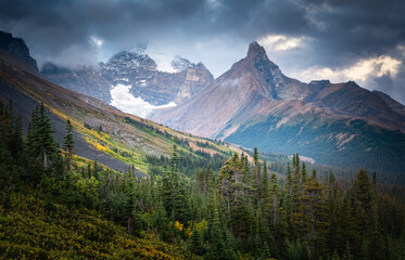 Mountain peak and forested valley in Banff NP Alberta Canada