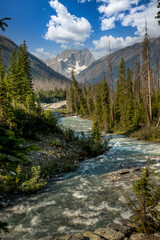 Fototapeta na wymiar Confluence of Tokkum Creek and Kootenay River Marble Canyon Kootenay National Park British Columbia Canada