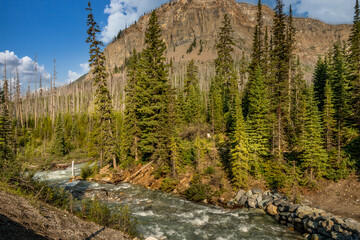 Confluence of Tokkum Creek and Kootenay River Marble Canyon Kootenay National Park British Columbia Canada