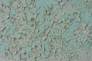 Peeling paint on the wall. Old concrete wall with cracked flaking paint. Weathered rough painted surface with patterns of cracks and peeling. Grunge texture for background and design. High resolution.