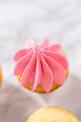 Obraz na płótnie Canvas Mini Vanilla Cupcakes with Pink Buttercream Frosting