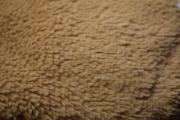 close up of fur texture