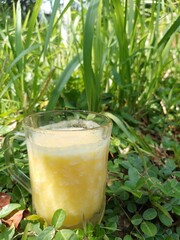 smoothie in the garden