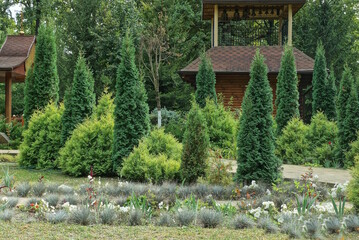 a lot of decorative green coniferous trees and bushes in the grass in nature in the park