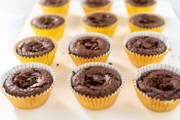 S'mores cupcakes