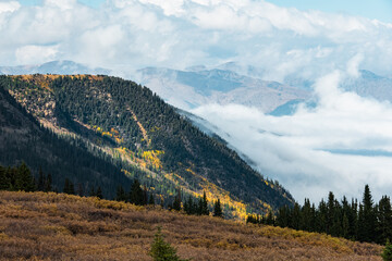 Guanella Pass covered in Fall Colors