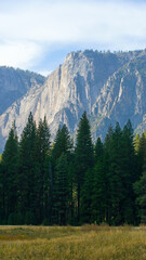 Fototapeta premium Yosemite National Park in California’s Sierra Nevada mountains, California, USA 