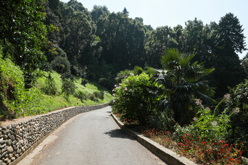 Beautiful pathway near blooming bush and plants in park