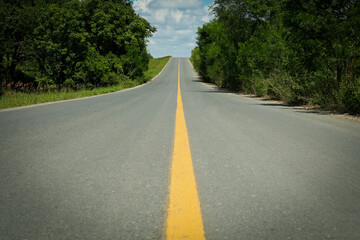 Picturesque view of empty road near trees