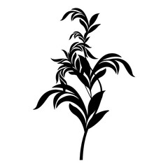 flourish vector, icon, symbol, logo, clipart, isolated. vector illustration. vector illustration isolated on white background.