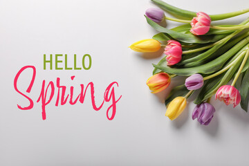 Hello Spring card. Beautiful colorful tulips on light grey background, top view © New Africa