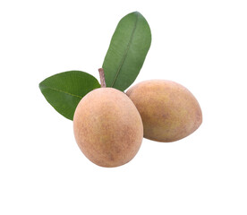 fresh sapote fruits isolated transparent png