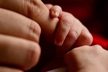 Adult and Infant Hands
