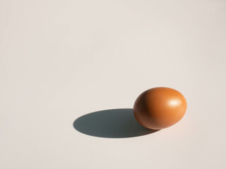 egg on white background