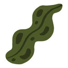 Green leaf boho illustration