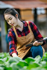 Fototapeta na wymiar Female Agricultural Using Digital Tablet while Working in organic farm