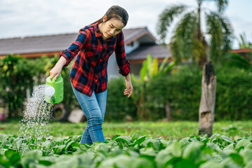 Female Agricultural watering in organic vegetable farm
