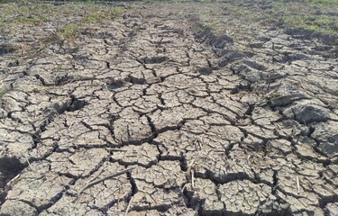 dry cracked earth