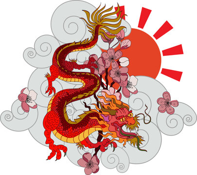 Japanese red dragon tattoo.Chinese Dragon with sakura flower on cloud and rising sun.