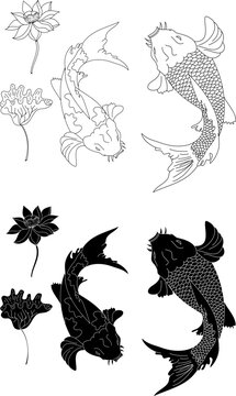 koi fish and lotus vector set on black background