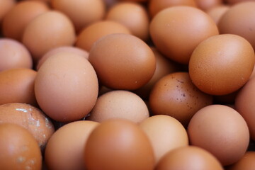 fresh eggs for sale at a market