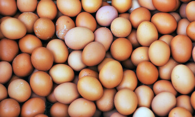 fresh eggs for sale at a market