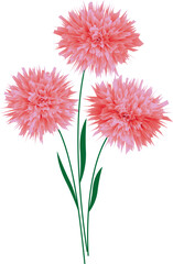 Three pink flowers on twigs. Vector file for designs.