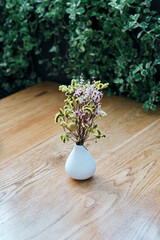 Little flower in little vase