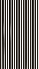 Black Wooden Slat Striped background white and black, Vector illustration background 01