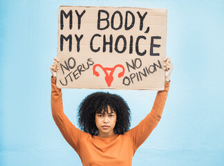 Feminism, protest and portrait of a woman with a sign for human rights, abortion or political...