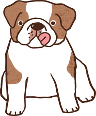 Cartoon Hand Drawn Bulldog Character