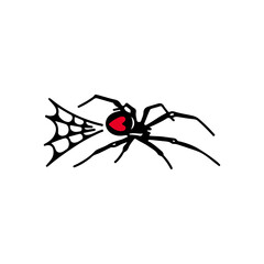 vector illustration of a spider