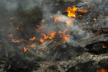 Burning of garbage. Set fire to illegal landfill. Flames and smoke.