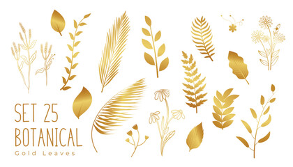 collection of isolated golden leaves on white banner