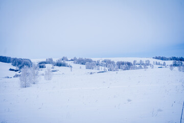 Beautiful winter landscape in cold colors photographed in Altai