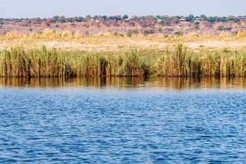 View of the banks and waters of the Chobe River in the Chobe National Park in Botswana.