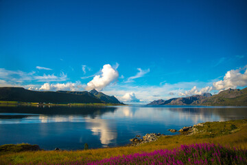 Fototapete bei efototapeten.de bestellen   