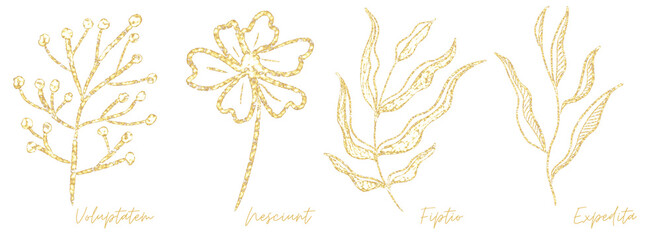 Gold outline doodle art botanical