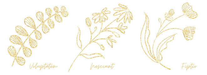 Fototapeta na wymiar Gold outline doodle art botanical