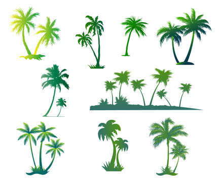 Tropical Palm Trees Green Gradient Vector Icon Set