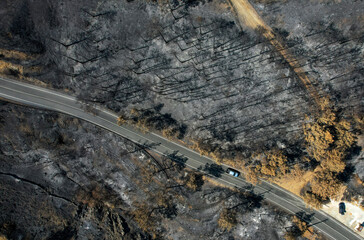 Road passing through a burned forest. Nature disaster forest fire.