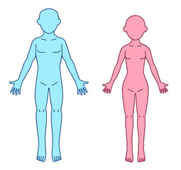 人体図、シェーマ、男性と女性
