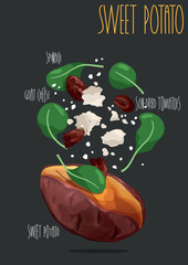 Baked sweet potatoes stuffed. Vector illustration